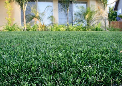 Using Eco Turf Artificial Grass in Landscaping Designs