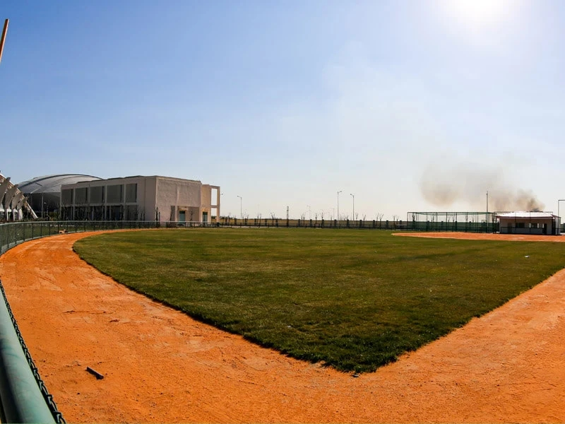 artificial turf baseball field