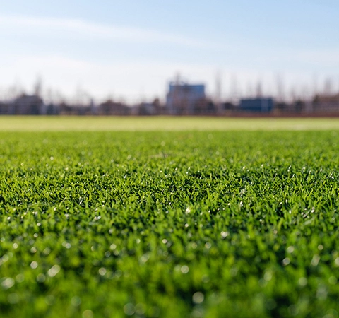Applications of Artificial Grass in Different Sizes