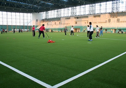 How to Choose the Right Indoor Soccer Turf for Sale