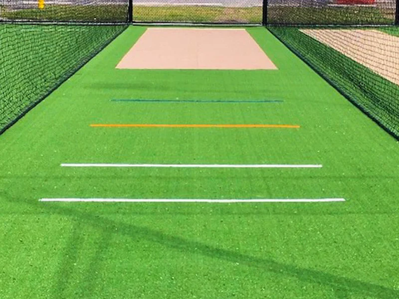 Cricket Turf