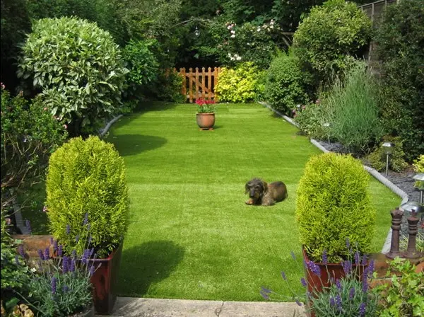 Artificial Grass for Pets