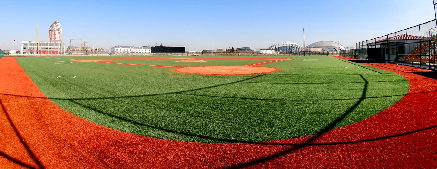 Baseball Turf