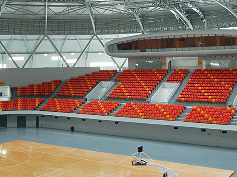 Basketball Stadium Seat