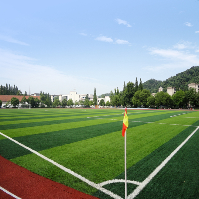 Artificial Grass for Soccer